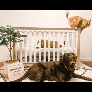 Meet your Posher, Caroline